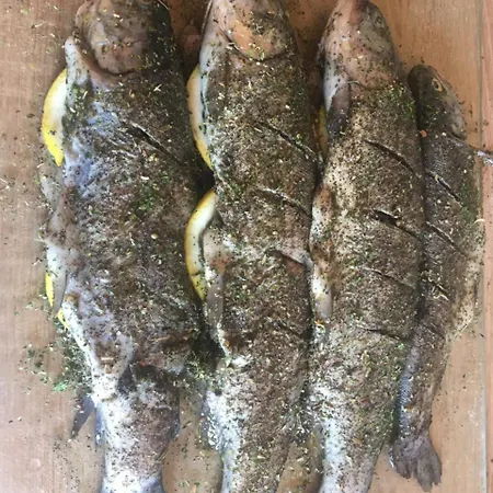 Old Stone וילה Obarok